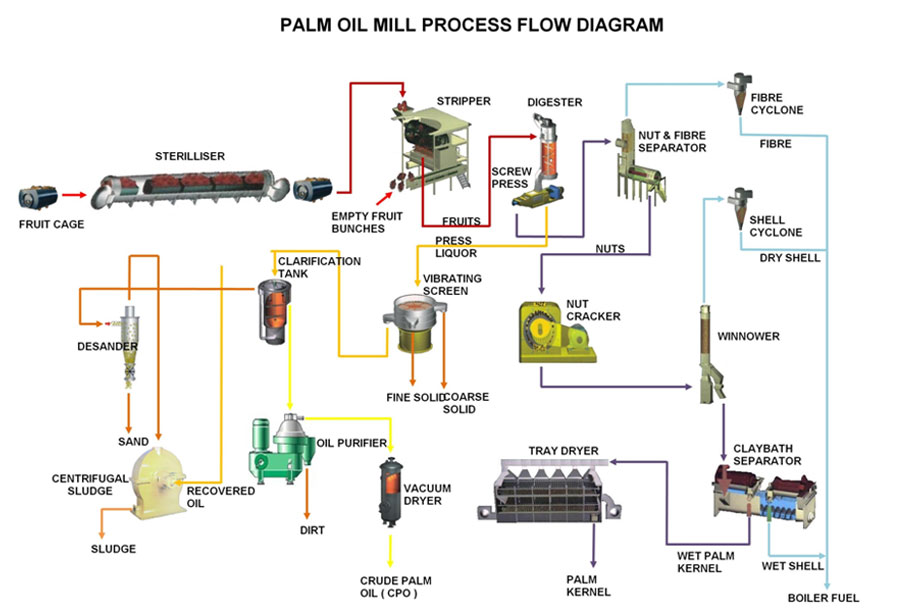 Processus d’huilerie de palme