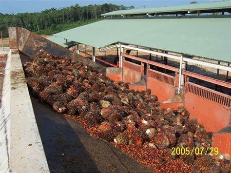 usine de transformation d'huile de palme