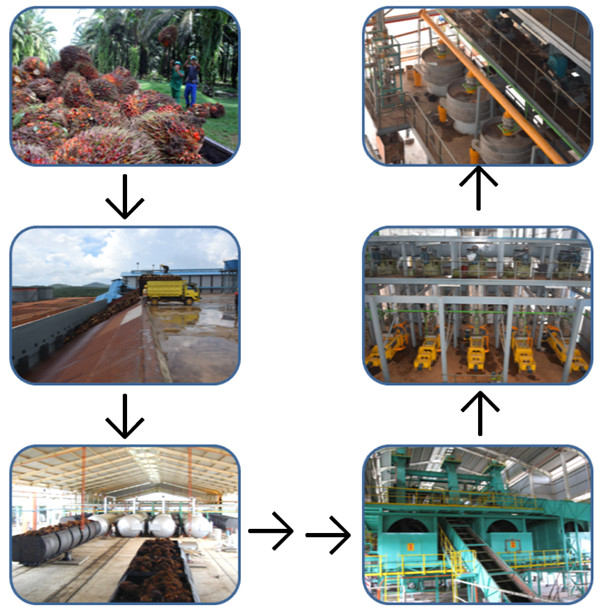 usine de traitement d'huile de palme