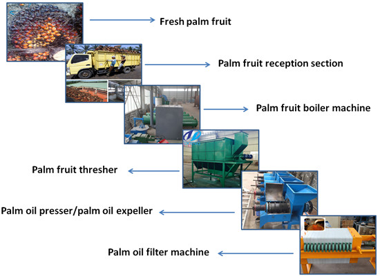 processus d'extraction d'huile de palme