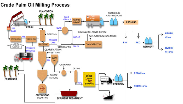 Processus d'extraction d'huile de palmiste