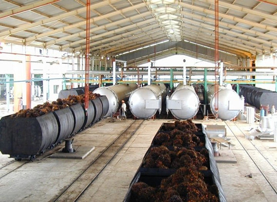 Station de stérilisation des fruits de palme