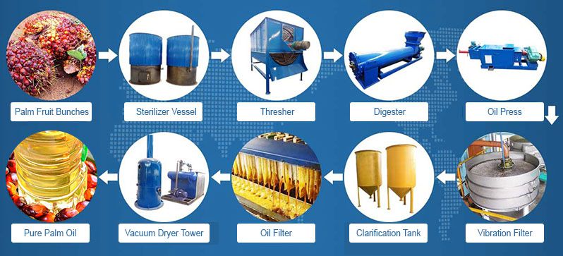 machine d'extraction d'huile de palme brute
