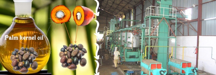 usine de traitement d'huile de palmiste