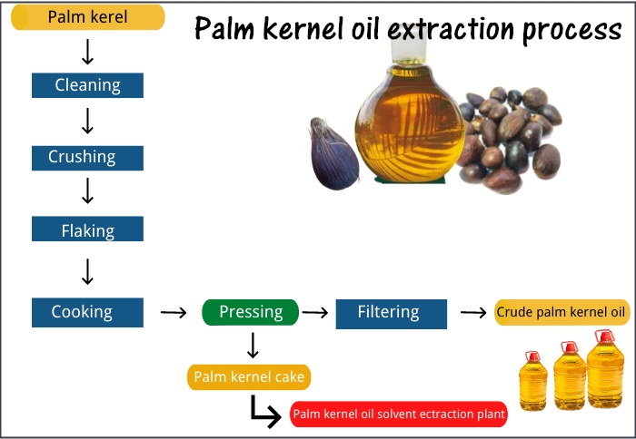processus de production d'huile de palmiste
