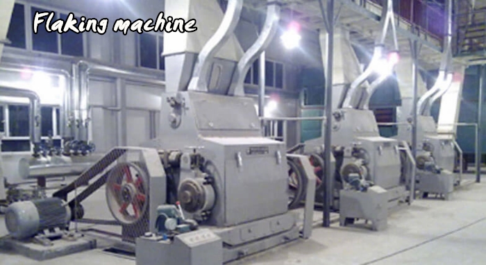 Machine à floconner les palmistes