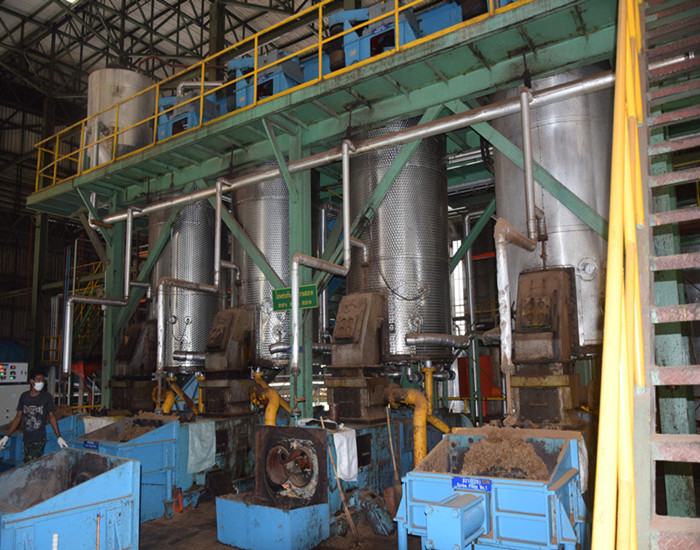 machine de broyage des fruits du palmier