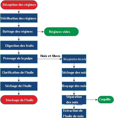 processus de transformation d'huile de palme