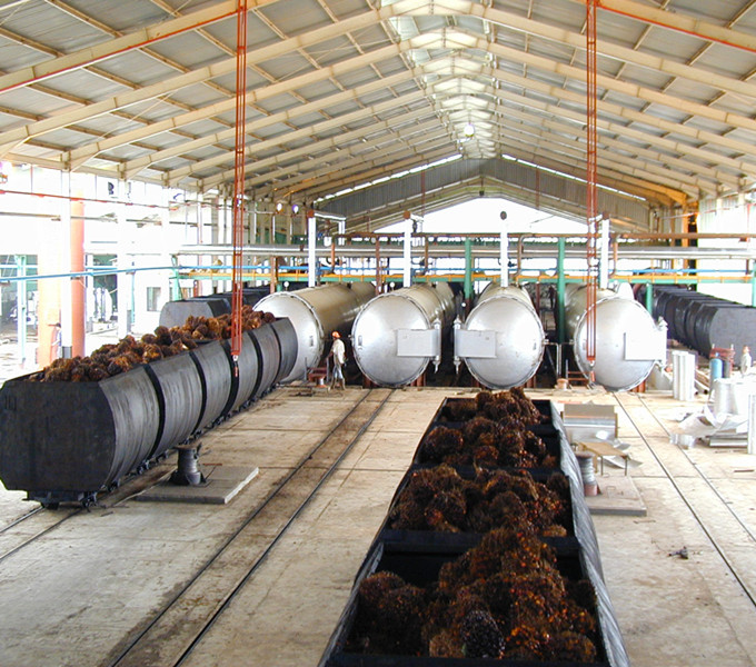 section de stérilisation des fruits de palmier
