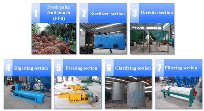 Processus de production d'huile de palme
