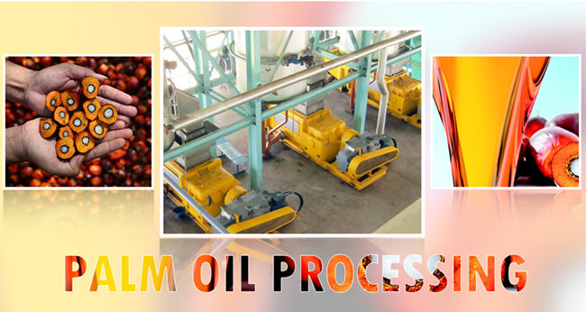 processus de production d'huile de palme