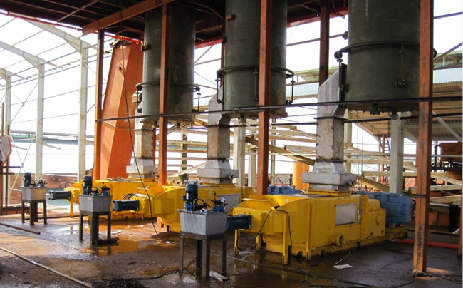 digestion et pressage des fruits de palme: machine de pressage