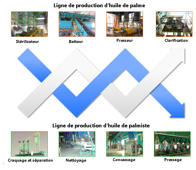 Machine de production de palmiste