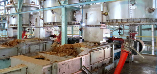 Machine de digestion et de pressage des fruits de palme