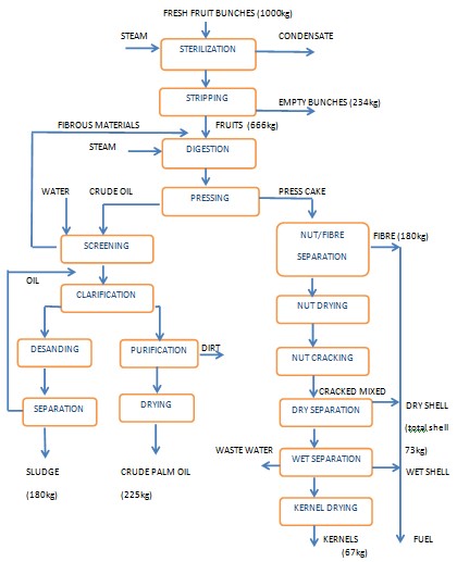 Processus de production d'huile de palme