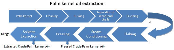 Extraction d'huile de palmiste