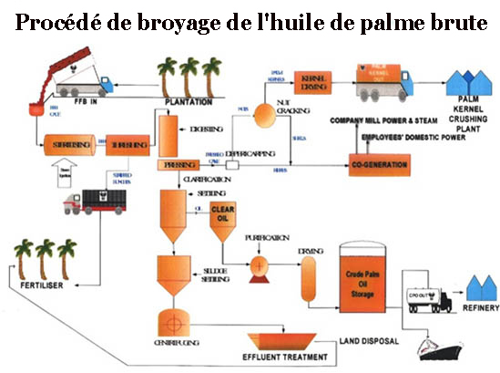 machine à huile de palme