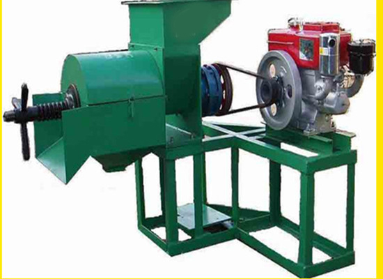 petite usine de production d'huile de palme