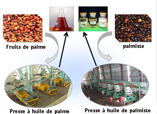 Machine d'extraction d'huile de palmiste