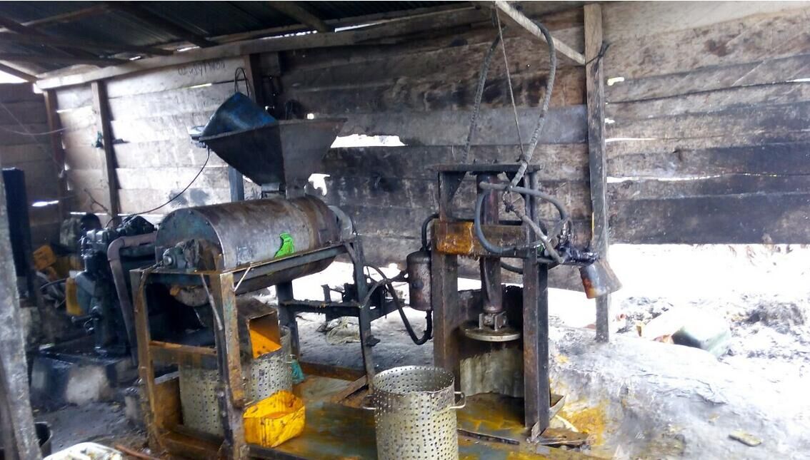 machine de presse à huile de fruits de palme
