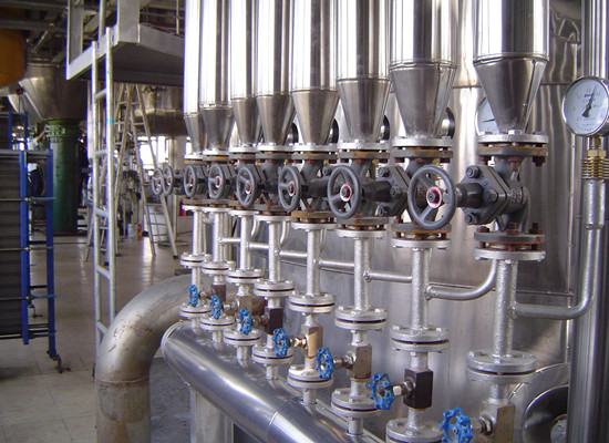 machine de raffinage d'huile de palme comestible