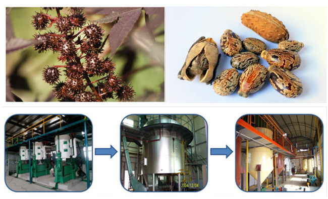 Machines de production d'huile de ricin