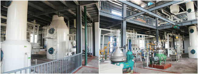 machine de raffinage d'huile de palme continue
