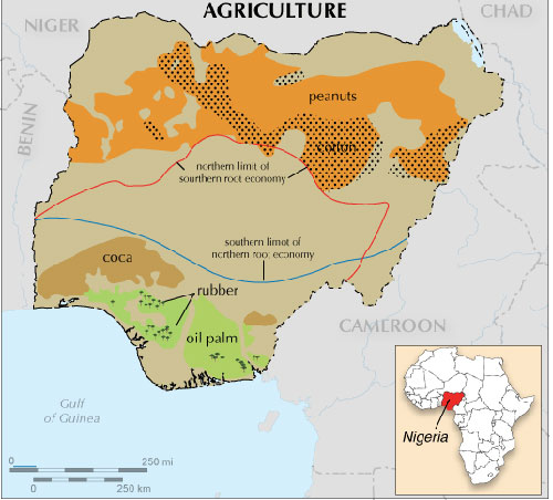 Agriculture de la Côte d'Ivoire
