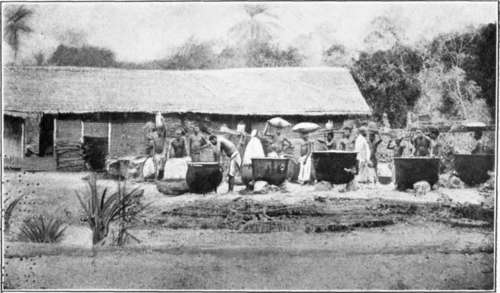 Histoire de l'huile comestible en Côte d'Ivoire