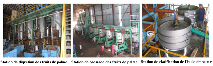 Usine de transformation d'huile de palme