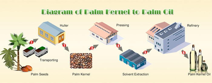 ligne d'extraction d'huile de palme