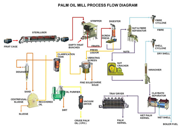 Organigramme du processus de transformation de l'huile de palme