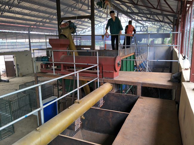 usine de production d'huile de palme