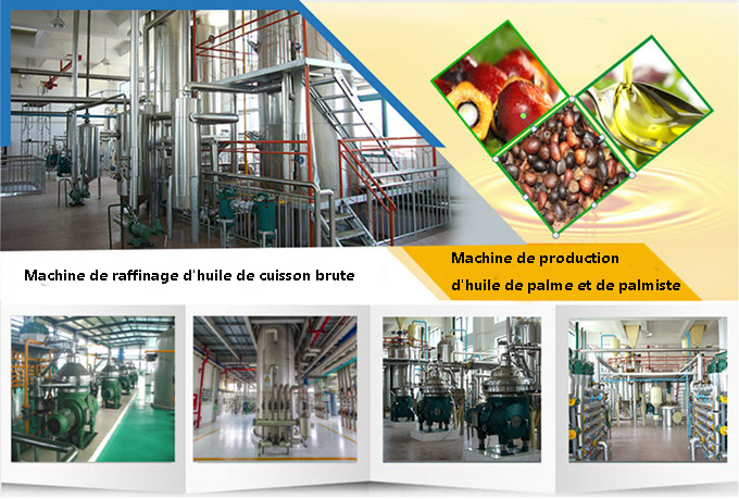 Fabricant de machines à huile de palme Ingénieur et usine de la société QIE