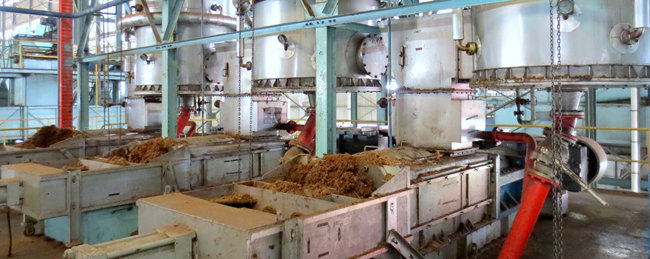 machine de digestion des fruits du palmier