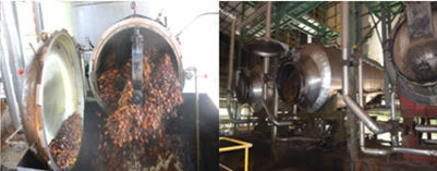 machine de stérilisation des fruits de palme