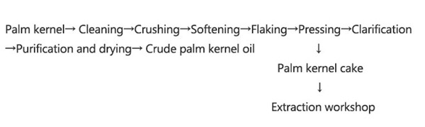 processus d'extraction d'huile de palmiste