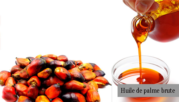 Huile de palme brute