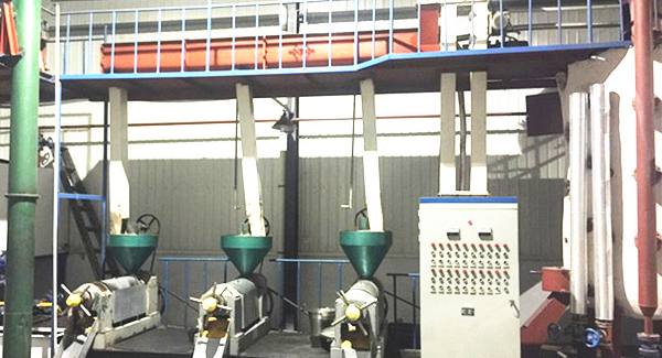 machine d'extraction d'huile de palmiste