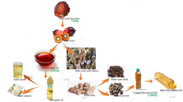 Processus de production d'huile de palme
