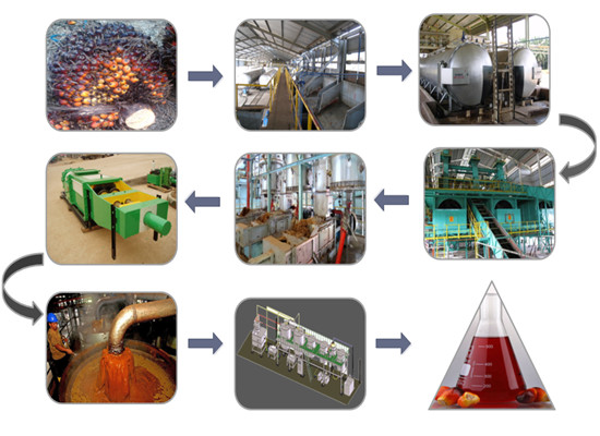 usine de production d'huile de palme