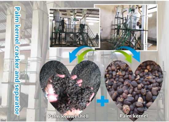 machine de cassage et de séparation de noix de palme