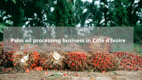 entreprise de transformation de l'huile de palme