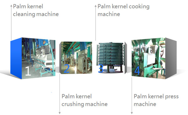 Machine d'extraction d'huile de palmiste