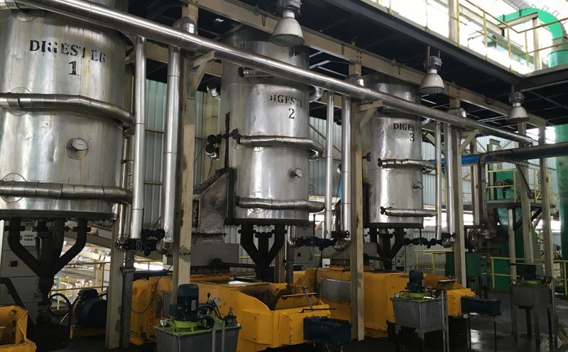 Palm Oil Processing Plant