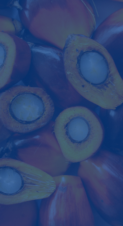 PELLETIZING FOR RAW MATERIALS