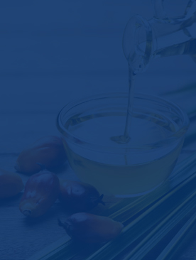 Palm Oil Production Line