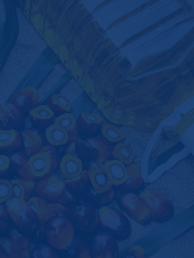 Palm Oil Processing Plant